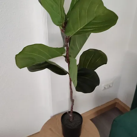 Bright And Spacious In Center Wiesbaden