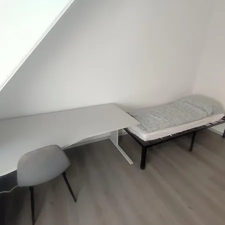 Appartement Bright And Spacious In Center Wiesbaden